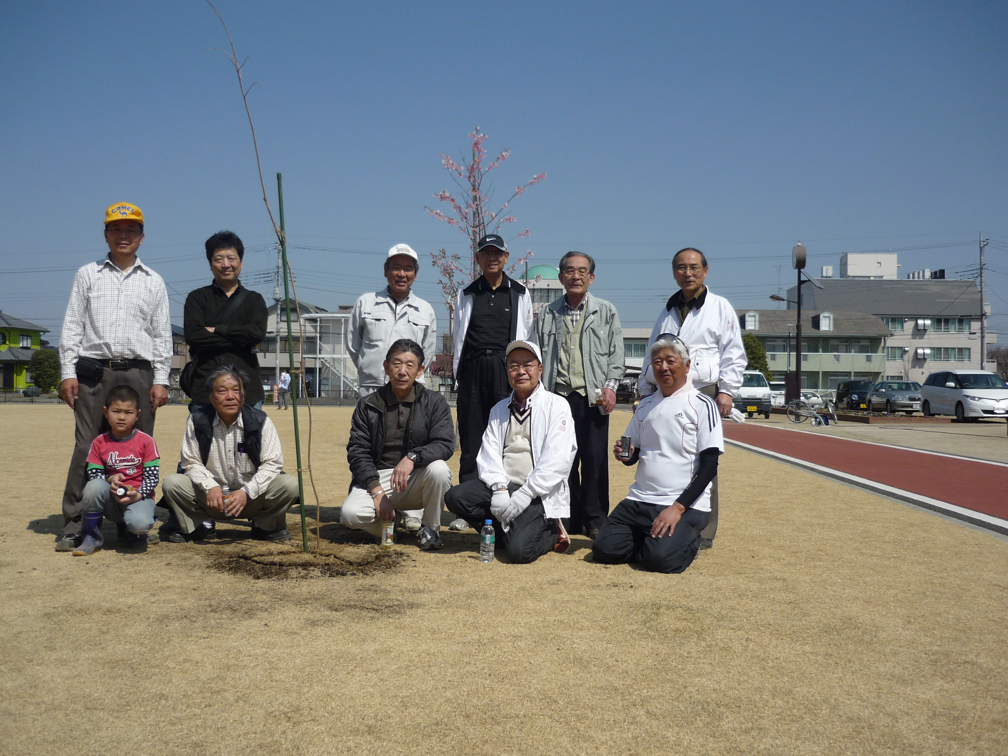 枝垂桜植樹（籠原中央公園）